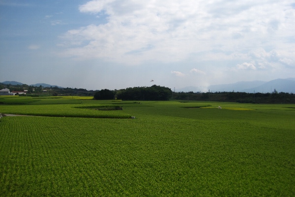 b0149340_2034591.jpg