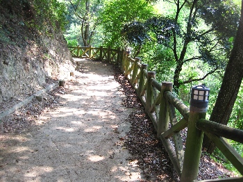 b0149340_20415362.jpg