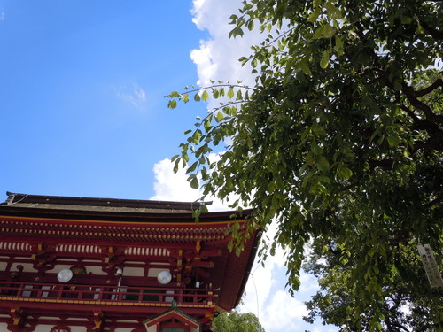 a0025141_022324.jpg