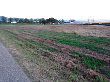 a0100742_9374723.jpg