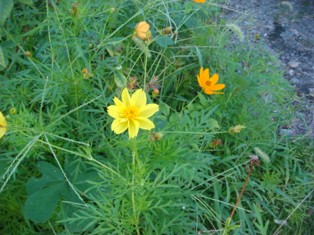 b0097645_521215.jpg
