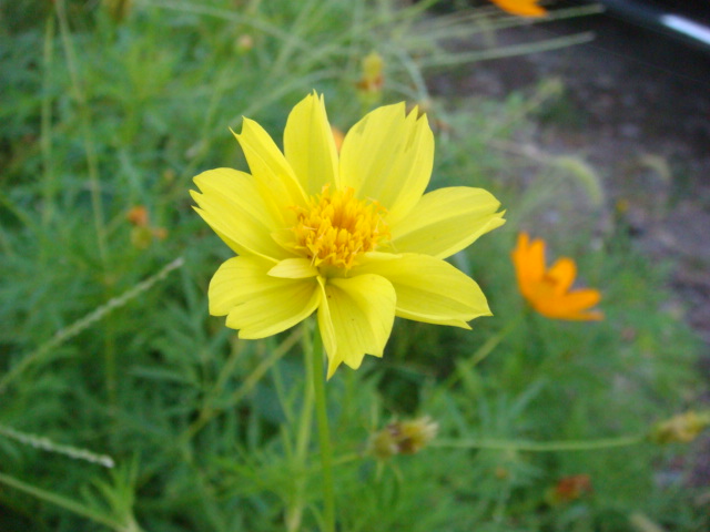 b0097645_5214682.jpg