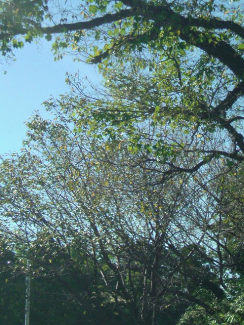 c0189747_1138452.jpg