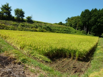 c0220047_9442162.jpg