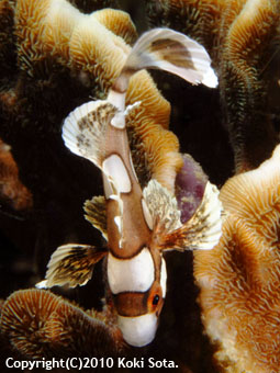 e0027447_1331019.jpg