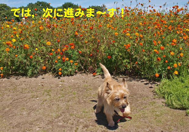 c0147548_2140422.jpg