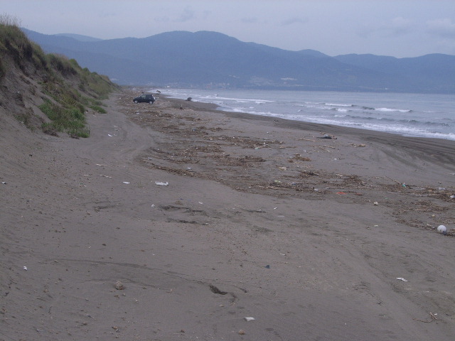 a0157451_22154164.jpg