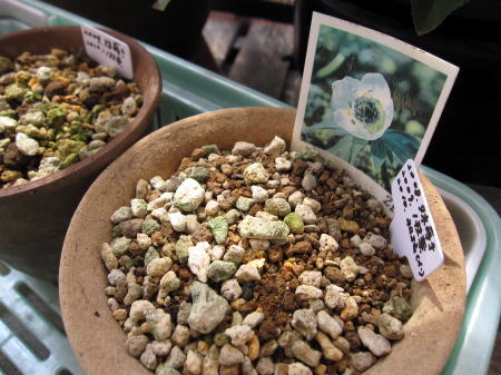 c0147952_21282310.jpg