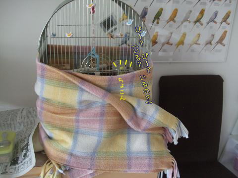 f0149057_038505.jpg