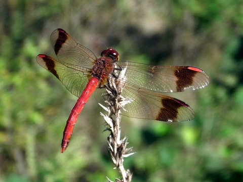 b0130166_210269.jpg