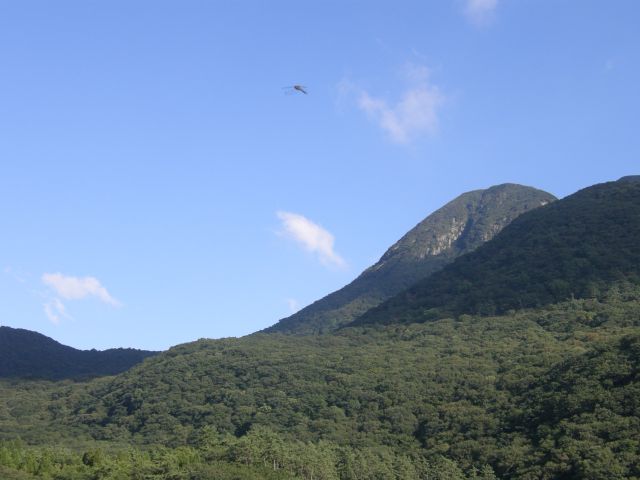 c0042869_180481.jpg