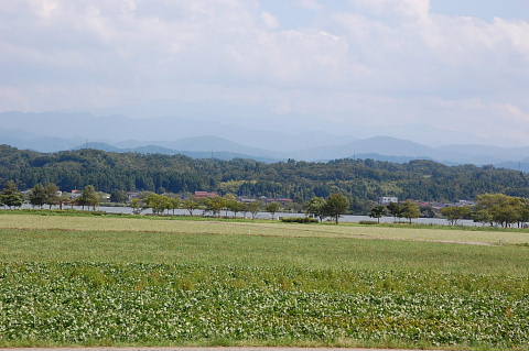 c0022275_1459434.jpg