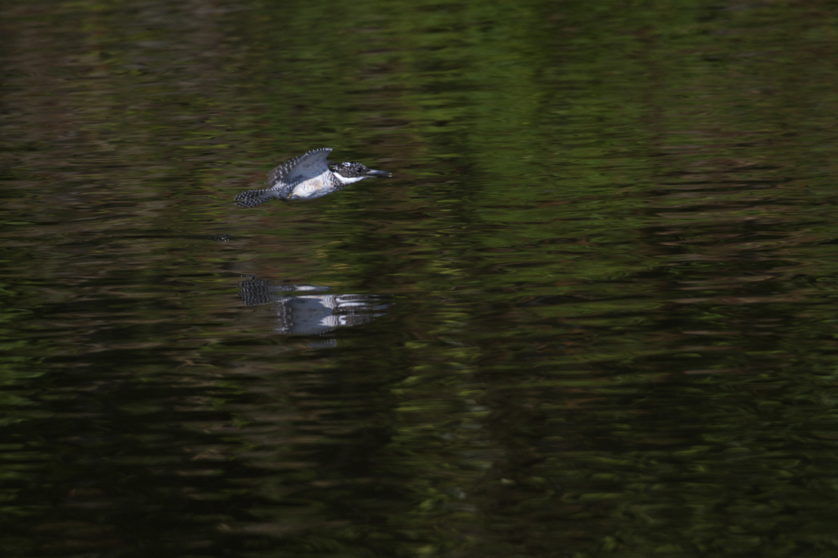 b0180476_23391728.jpg