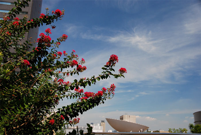 f0108478_21315336.jpg