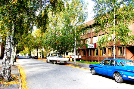 a0152079_8292360.jpg