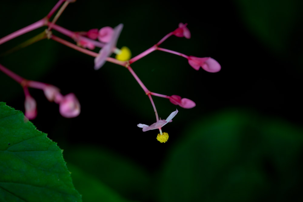 a0083081_16251799.jpg