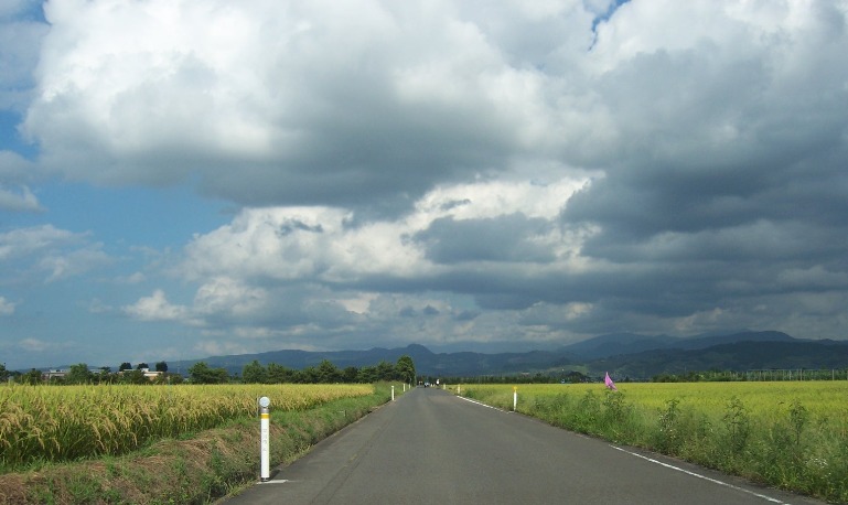c0198781_10324239.jpg