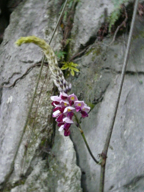 e0145782_173069.jpg