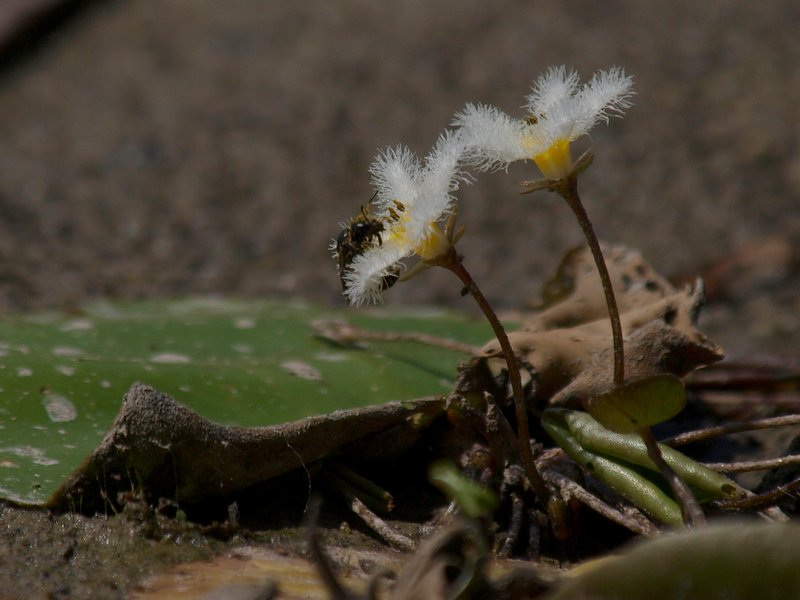 b0108186_0101010.jpg