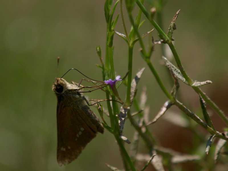 b0108186_0143547.jpg