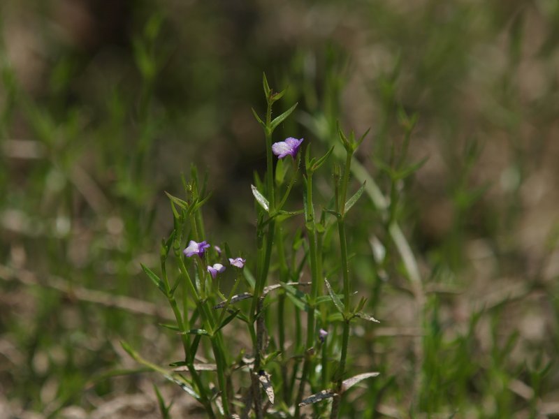 b0108186_0155556.jpg