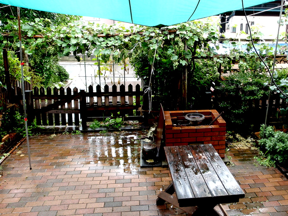 a0007388_934639.jpg