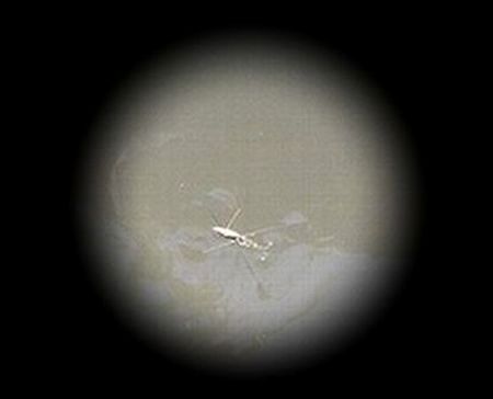 e0143690_17164533.jpg