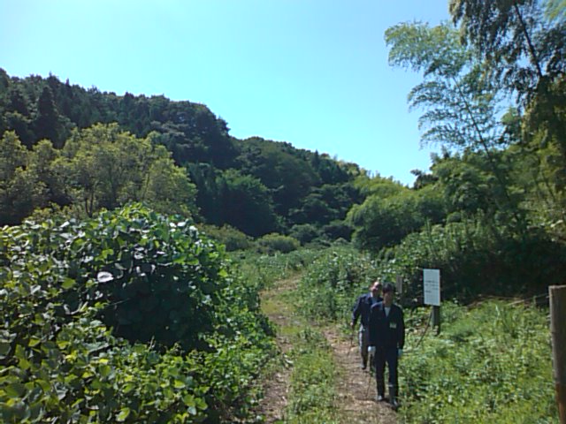 e0068696_7241912.jpg