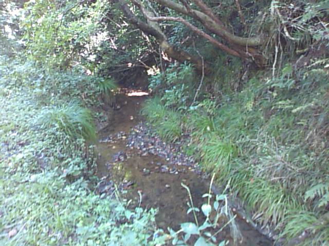 e0068696_7251427.jpg