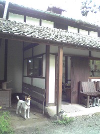 b0197998_224409.jpg