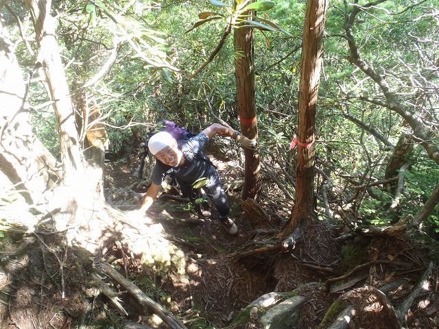 c0147398_22202874.jpg