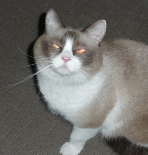 f0146198_0153113.jpg