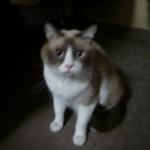 f0146198_0275469.jpg