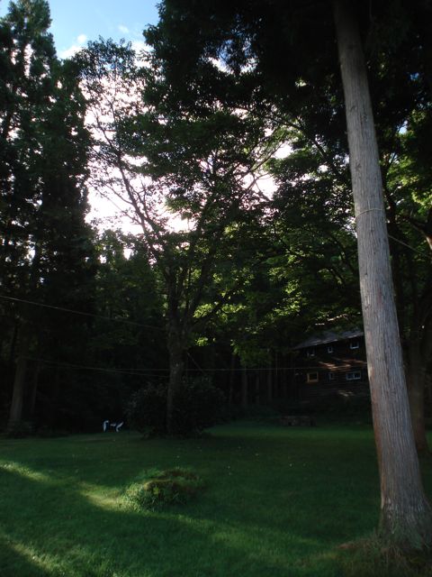 a0061599_657929.jpg