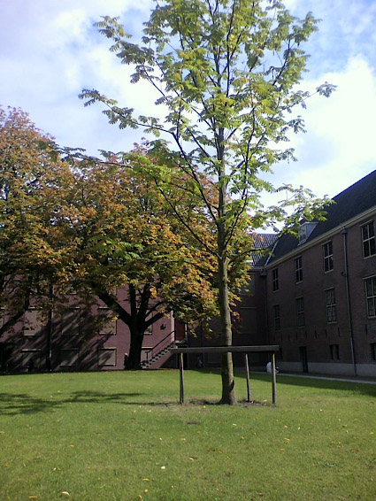 f0108399_20565797.jpg