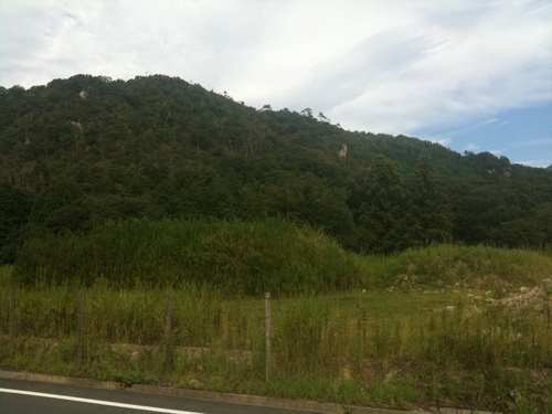 f0234100_18102571.jpg