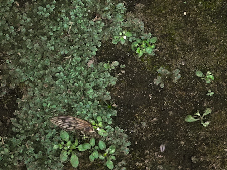 f0239100_15582434.jpg
