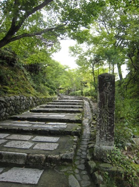 e0033301_2218986.jpg