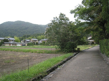 e0033301_22304978.jpg