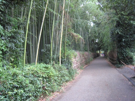 e0033301_2232139.jpg