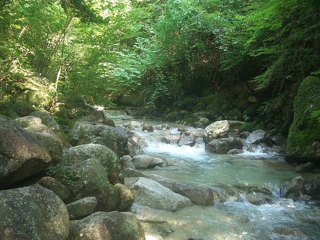 a0051402_17265366.jpg