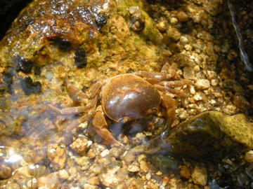 c0145209_23505965.jpg