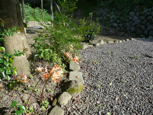 f0204110_1622198.jpg