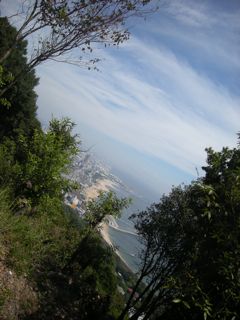 b0183911_22251494.jpg