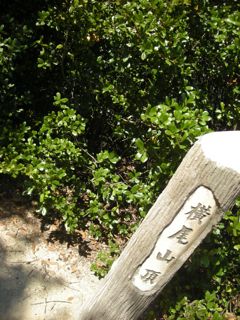 b0183911_22252955.jpg