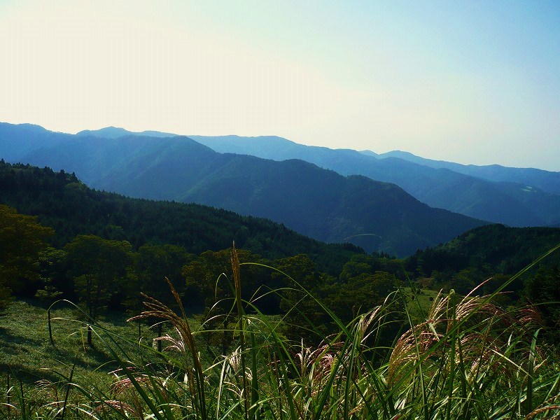 f0182513_17572211.jpg