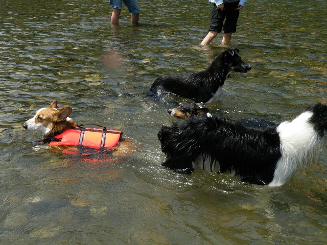 c0127617_18213556.jpg
