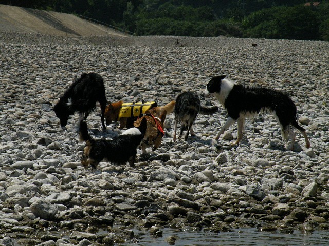 c0127617_18263087.jpg