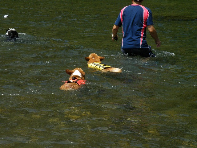 c0127617_18315093.jpg