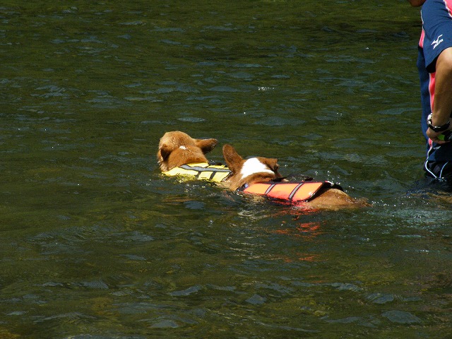 c0127617_18322893.jpg